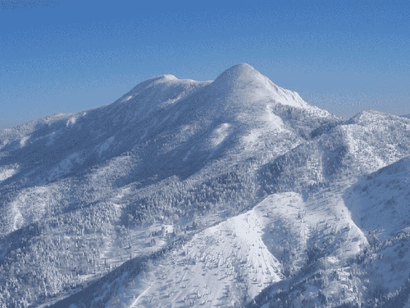 精子不液化试管试管量筒在哪买人工受精短方案费用